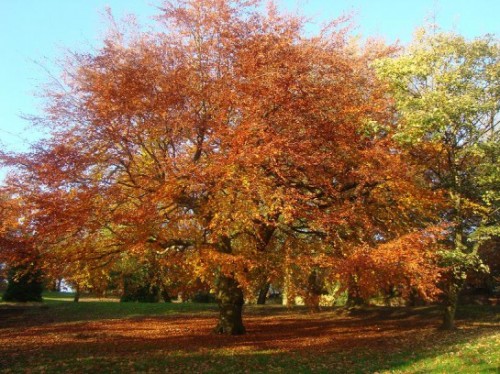 Manchester in autunno